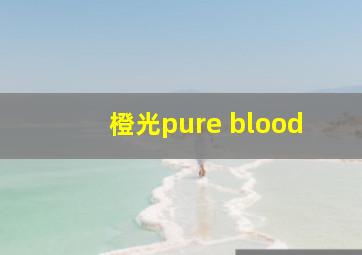 橙光pure blood